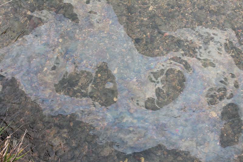 20151123 2 web
